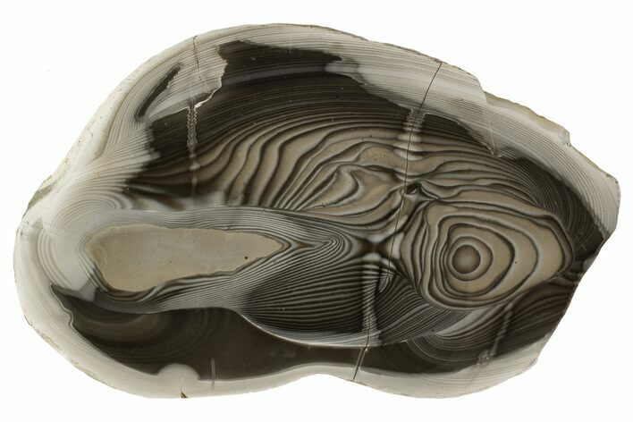 Polished, Striped Flint Slab - Poland #193150